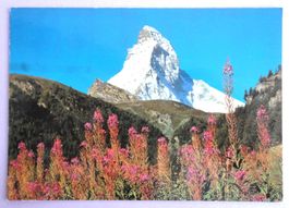 Matterhorn 4478 m, Mont Cervin