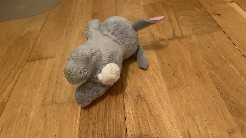 Giocattoli: FurReal Hasbro Newborns Häschen – Usato da Wettingen venduto da Taht1 4