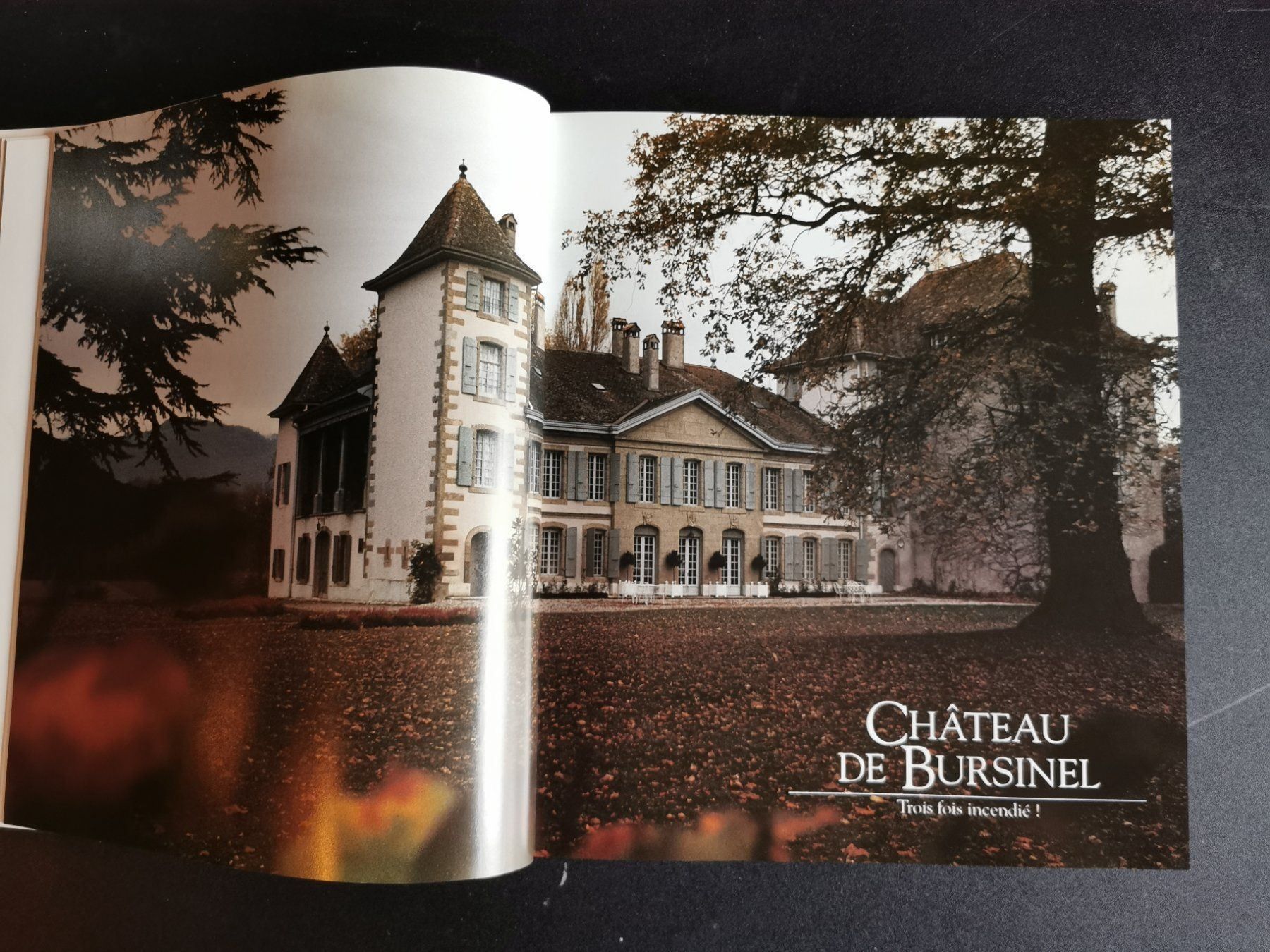 Bücher: Les Châteaux Viticoles du Pays de Vaud – Gebraucht aus Pailly von jme99 2