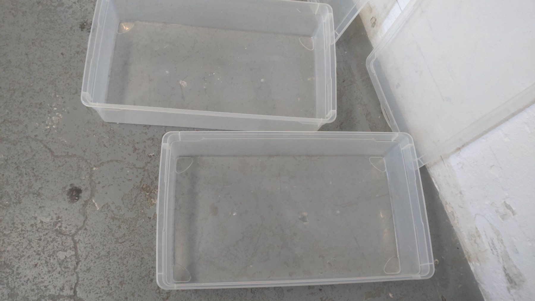 Transportkisten: 2 grössere flache Plastikkisten mit Deckel – Gebraucht aus Zürich von blaumeisli62 2