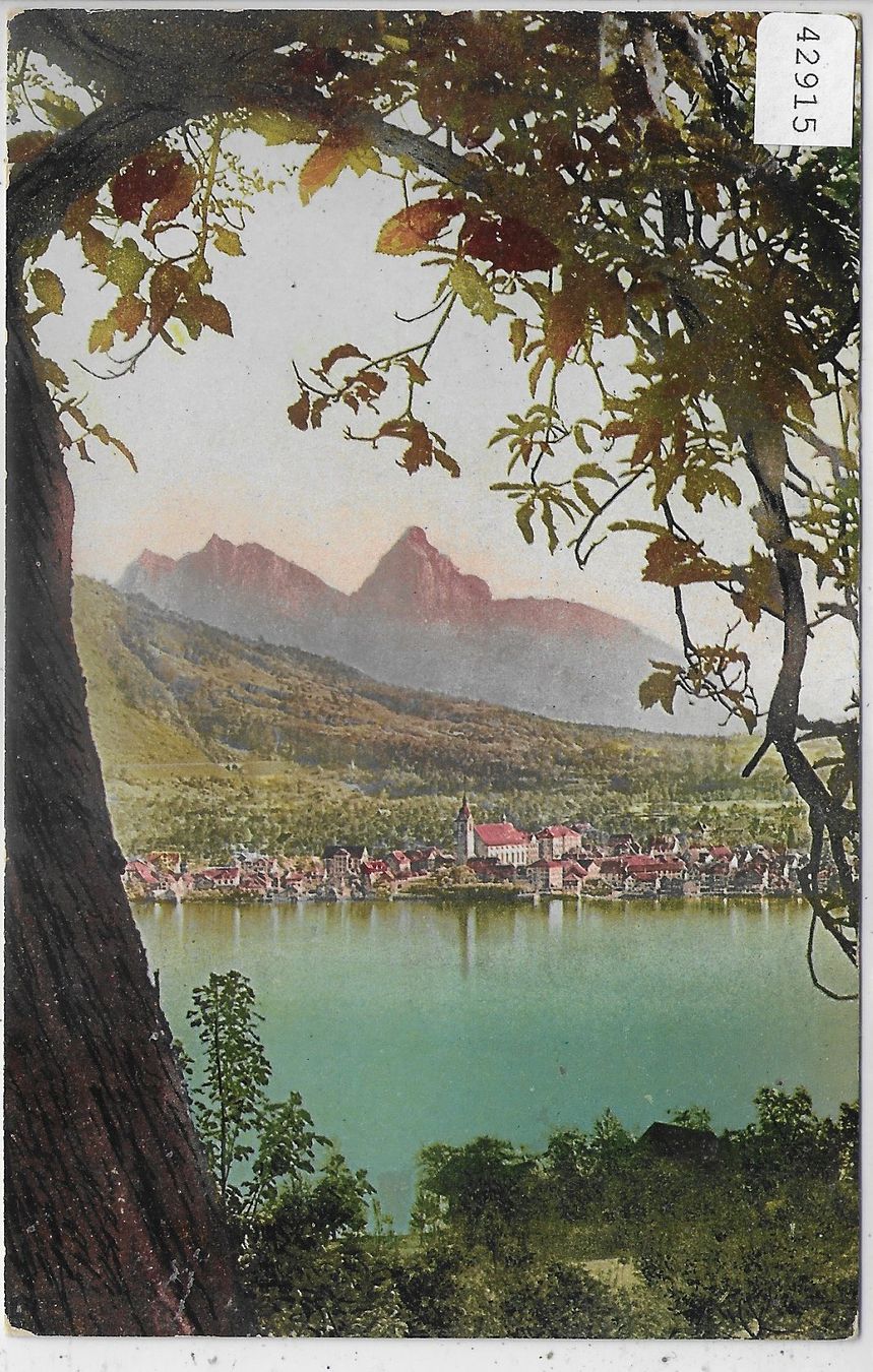 Ansichtskarten: Arth mit Mythen - Litho – Gebraucht aus Ettingen von Kartenplanet