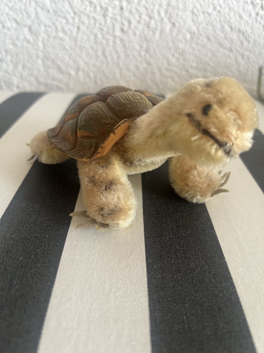 Steiff Spielzeuge: Steiff Schildkröte  in  gutem Zustand – Gebraucht aus Rorschacherberg von Artmaru 3