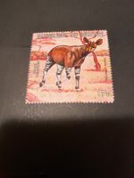 Burundi: Timbre rare Okapi Johnston - Poste Africaine! (57)