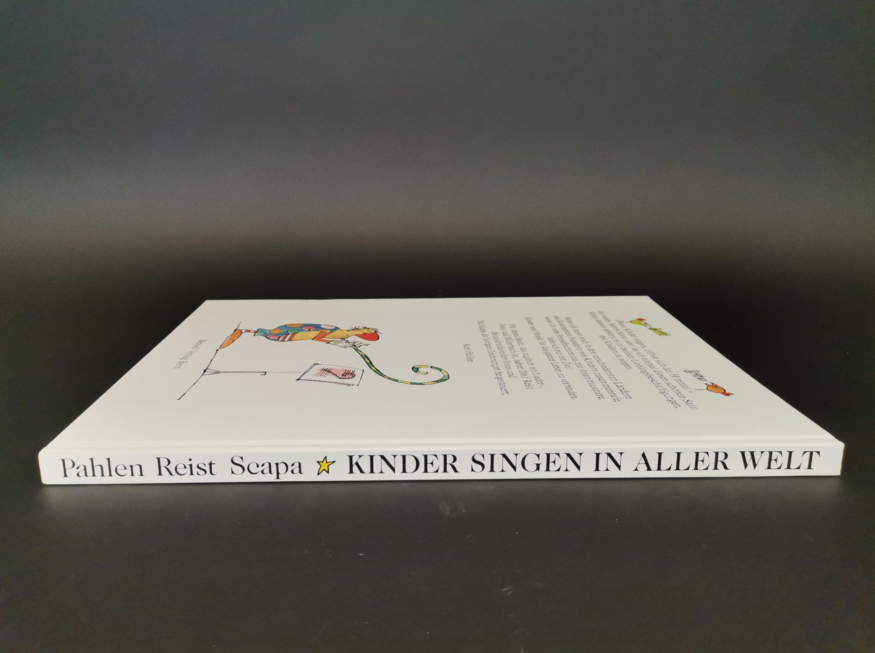 Libri: BUCH Kinder singen in aller Welt – Usato da Schaffhausen venduto da Restwert_SH 6