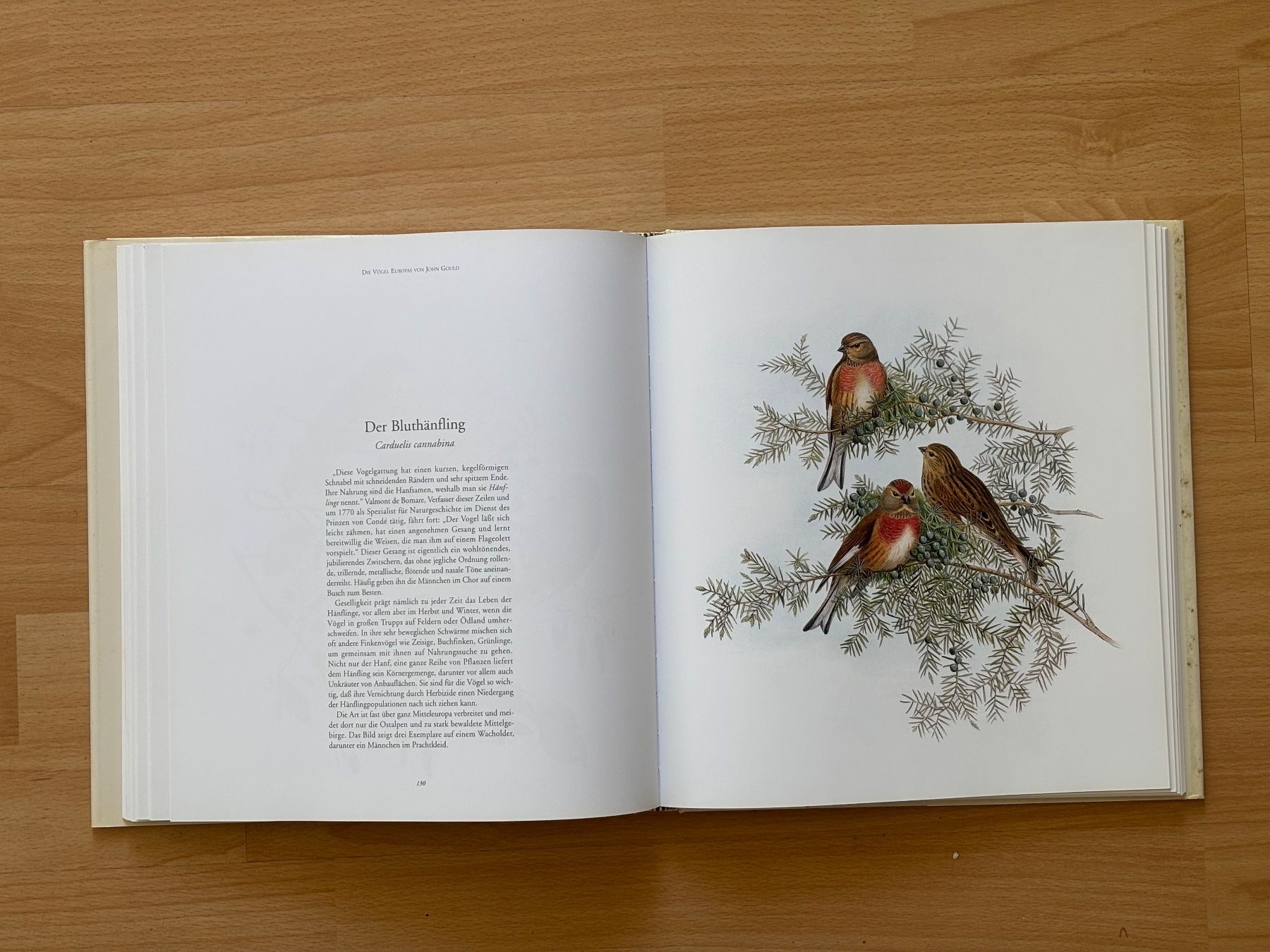Libri: Die Vögel Europas von John Gould – Usato da Zürich venduto da Masaiti 8