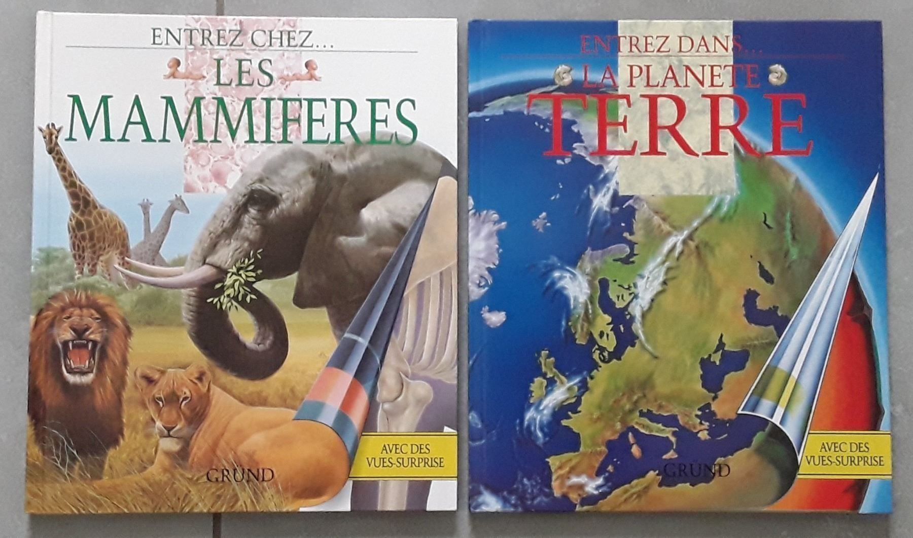 Fumetti: Chez les mammifères / Planète Terre – Usato da Courgenay venduto da Romano-Athletics