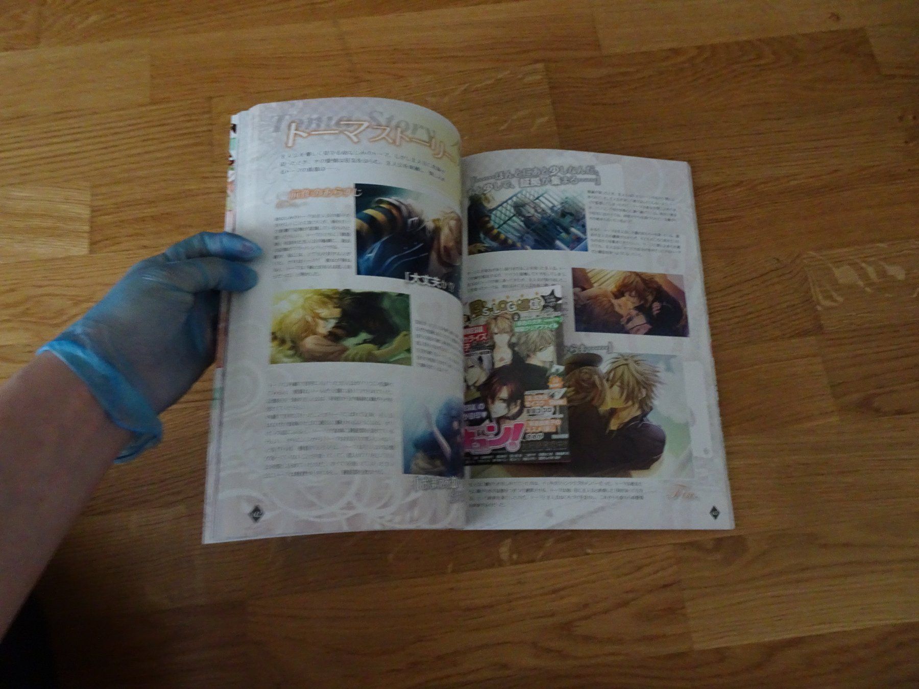 Libri: Amnesia Official Visual Fanbook Artbook – Usato da Bern venduto da Maronn 4