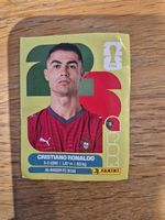 Ronaldo Panini POR 15