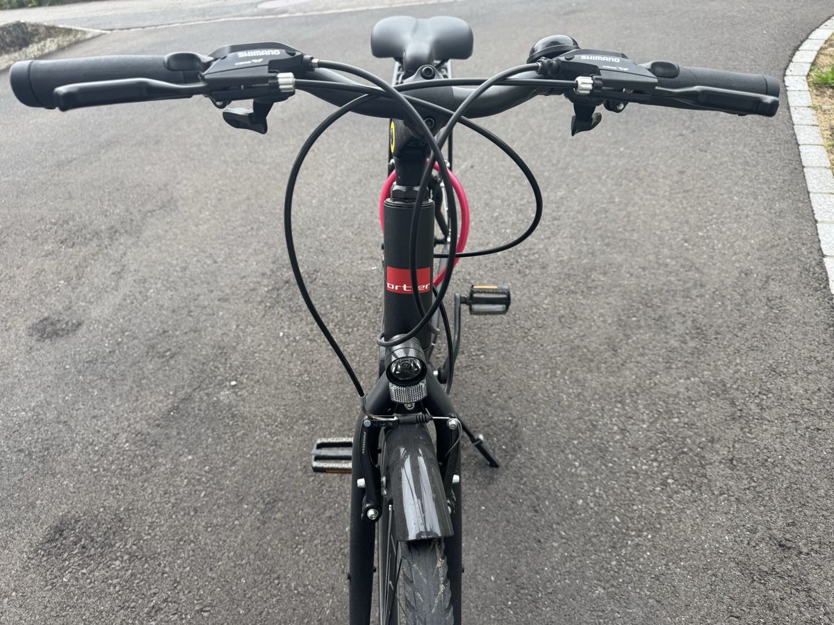 Biciclette: Damenvelo – Usato da Euthal venduto da FredSZ 3