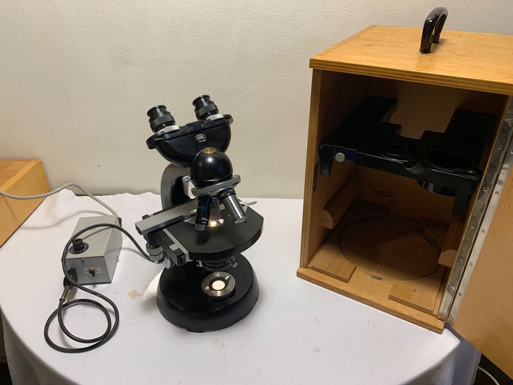 Microscope binoculaire Zeiss Winkel | Kaufen auf Ricardo