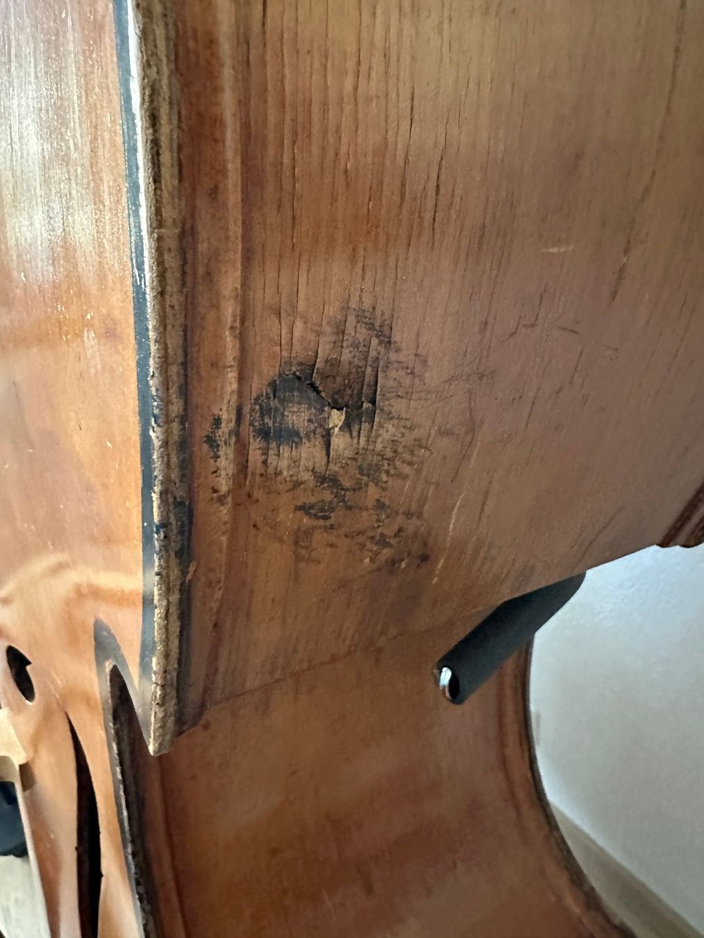 Framus Strumenti musicali: Contrebasse Framus 3/4 – Usato da Sion venduto da Floop 5