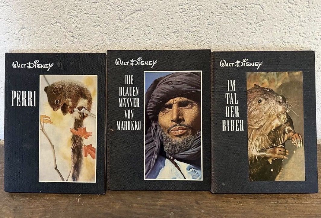 Libri: Walt Disney Bücher – Usato da Rickenbach Sulz venduto da pbf9