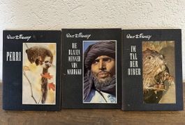 Walt Disney Bücher