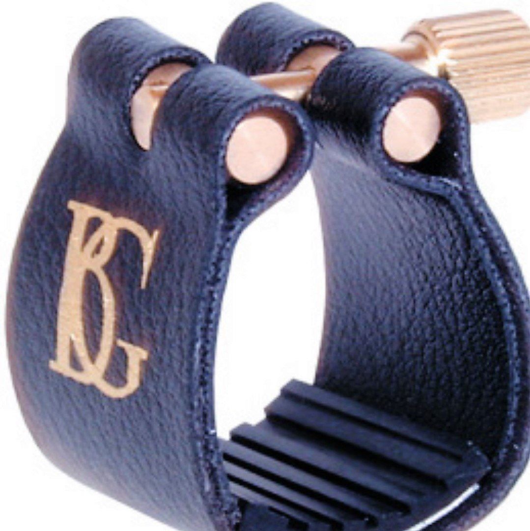 Strumenti musicali: BG ProPack+ Altsaxophon Pflegemittel-Set – Nuovo e nell'imballaggio originale da Rotkreuz venduto da CLASAX 5