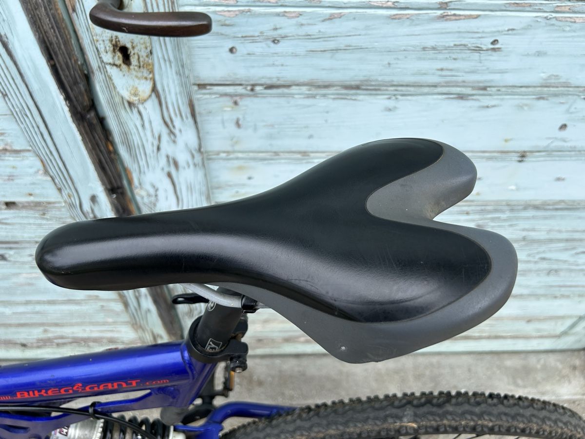 Biciclette: MTB, Mountainbike, MK, Blue Edition, VTT – Usato da Arisdorf venduto da Xylocopa 3