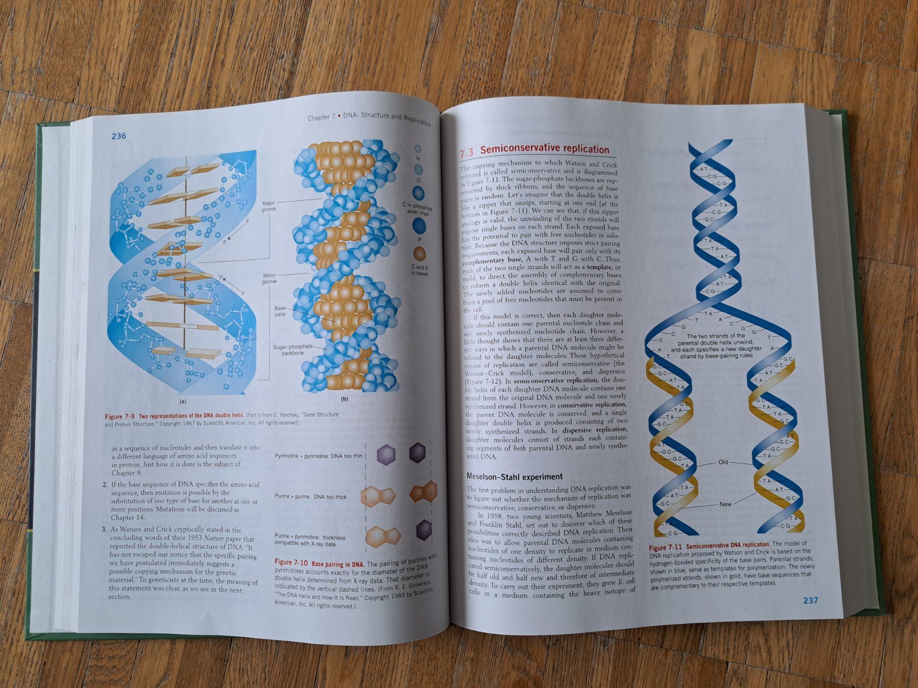 Libri: Introduction to Genetic Analysis – Usato da Thalwil venduto da Pescara13 2