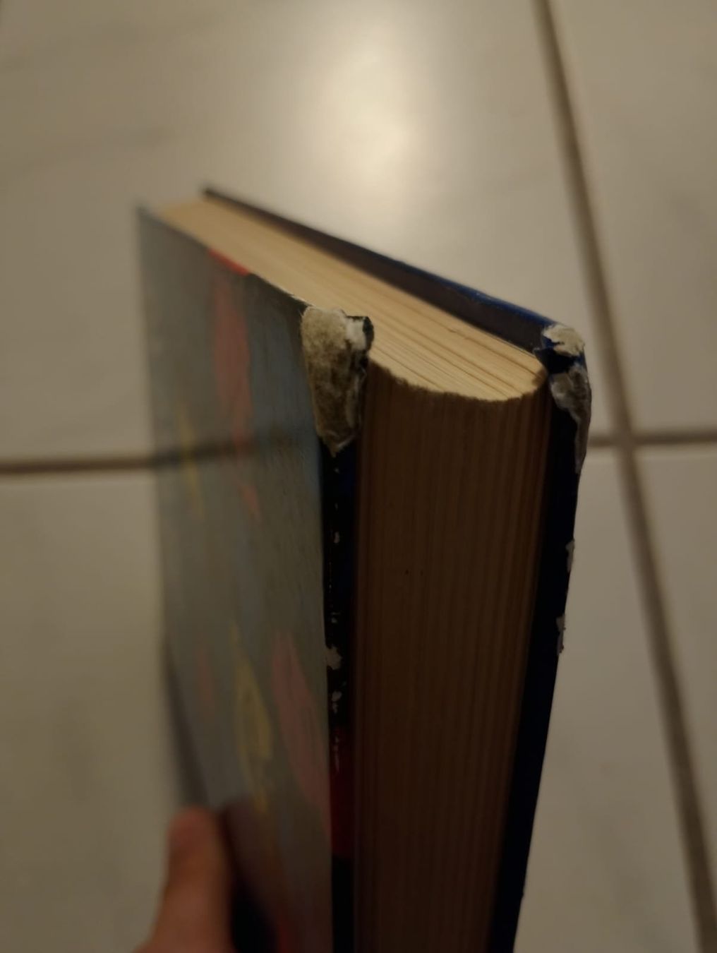 Libri: Deutsche Dichtung - Literaturgeschichte – Usato da Ehrendingen venduto da 2Guagua2 4