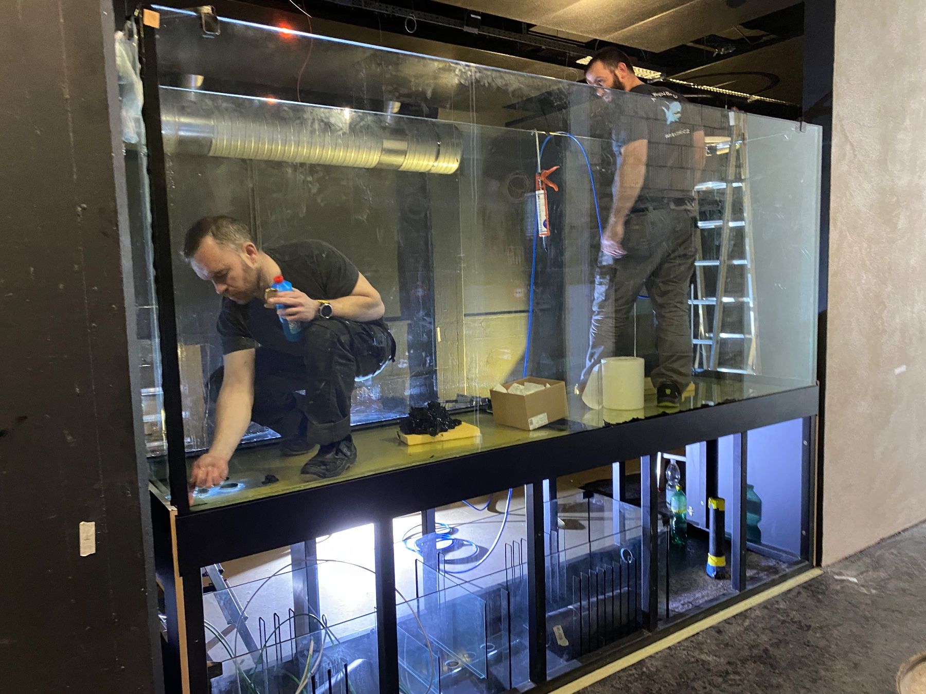 Acquari: Aquarium Vor-Ort-Verklebung – Nuovo (secondo la descrizione) da Berikon venduto da fischundart 9