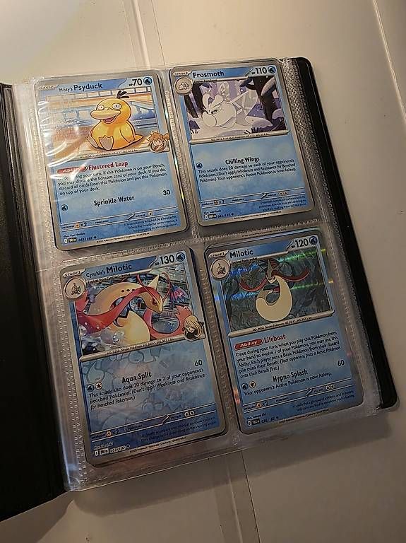 Pokémon Carte collezionabili: Pokémon Portfolio & Karten – Usato da Jens venduto da tra_da87 3