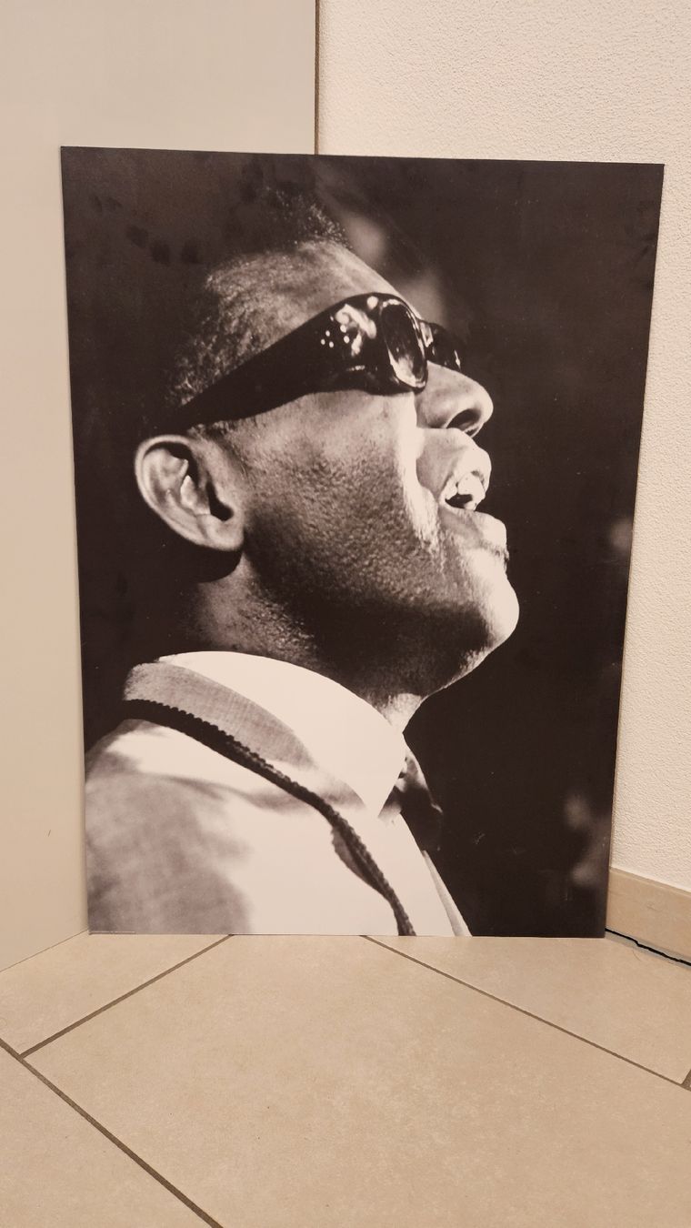 Foto & Immagini: Ray Charles Aluminium Bild – Usato da Schaan venduto da car_wrv2