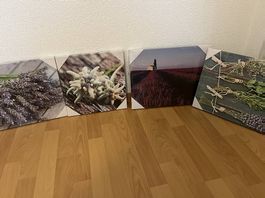 4 tableaux décoratifs sur le thème de la nature