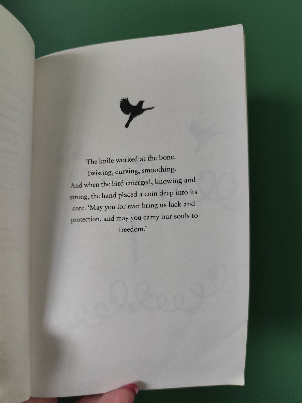 Libri: Fraillon The Bone Sparrow Book - Kids Summer Read – Usato da Mägenwil venduto da VintageGirly 7