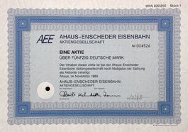 Ahaus-Enscheder Eisenbahn-Gesellschaft, Ahaus - 1989
