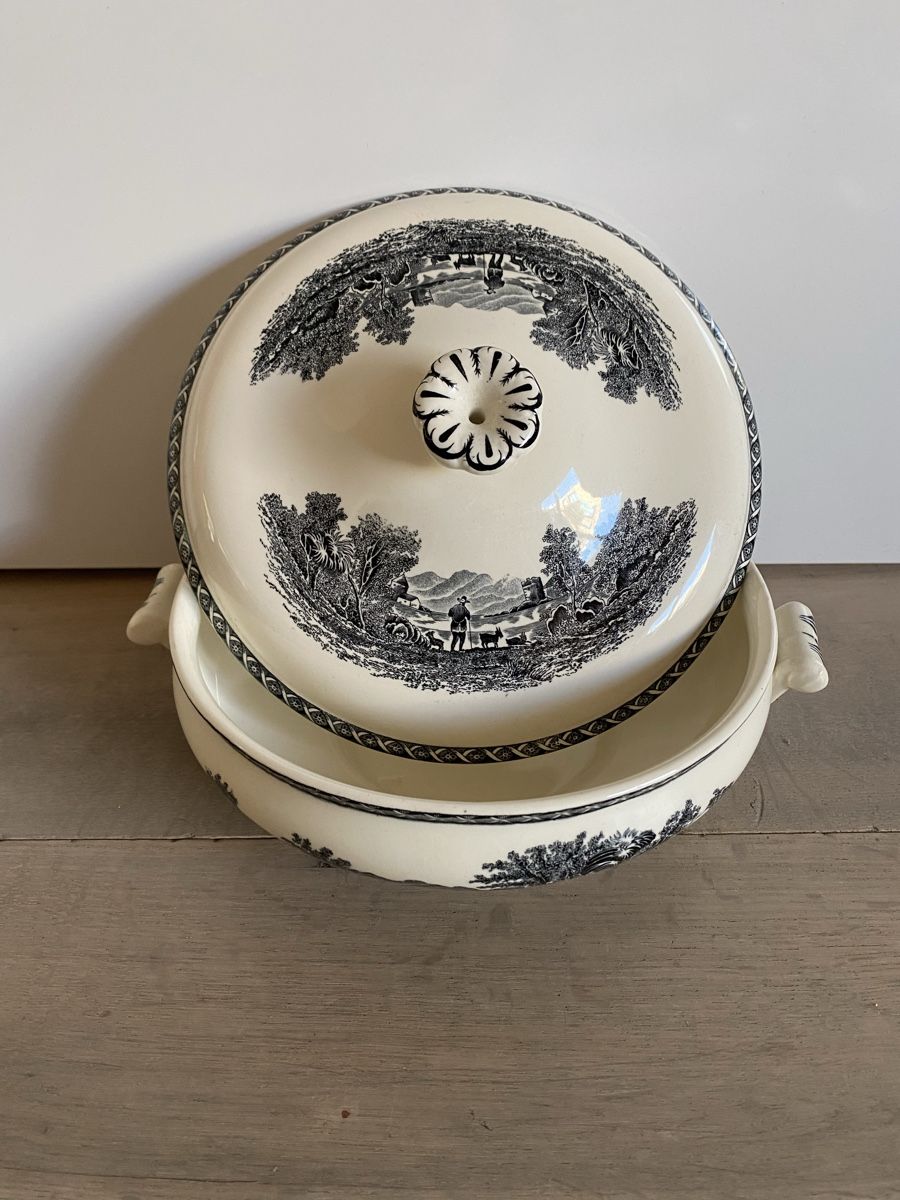 Wedgwood Ciotole: Wedgwood Lugano Deckelschale – Nuovo (secondo la descrizione) da Luzern venduto da Sohan 1