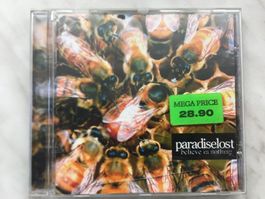 Paradise Lost - Believe In Nothing