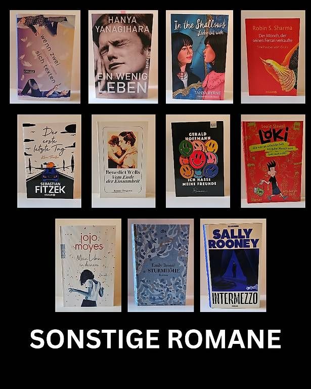 Libri: Neuwertige Romane  – Usato da Gossau SG venduto da nanuwasgeht 4