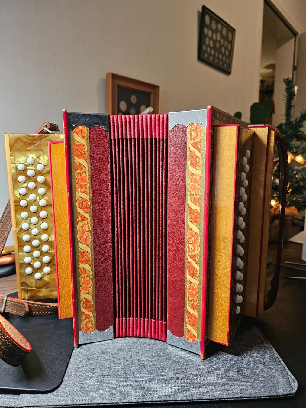 Musikinstrumente: J.A. Nussbaumer Schwyzerörgeli 24b B – Gebraucht aus Perly von gae_8qhq