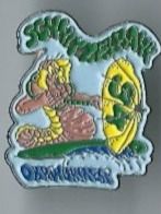 Oarwürmer, Fasnacht PIN