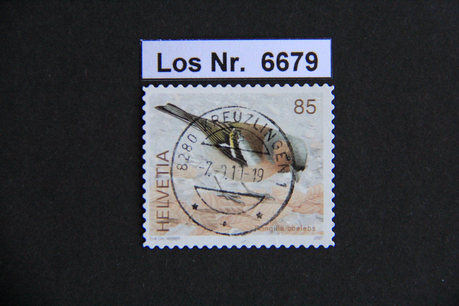 Tutti i francobolli: CH 2007 sauberer Vollstempel                        Los 6679 – Usato da Volken venduto da jukon65