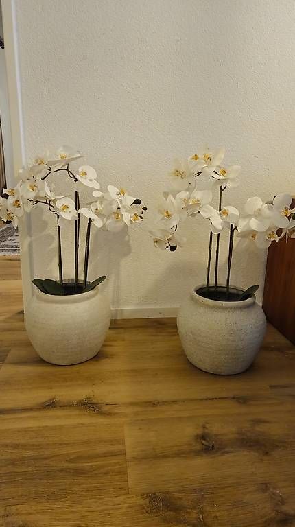 Alle Dekorationen: 2 Deko Orchideen mit Topf – Gebraucht aus Arbon von Melonie