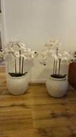 2 Deko Orchideen mit Topf