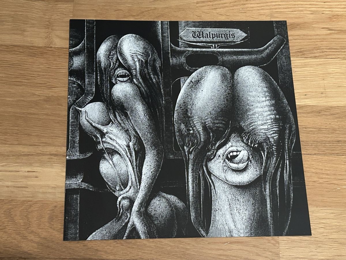Dischi in vinile: Shiver. 2017. Limited Edition Numbered 492/1000 – Usato da Faulensee venduto da Mizuno06 2