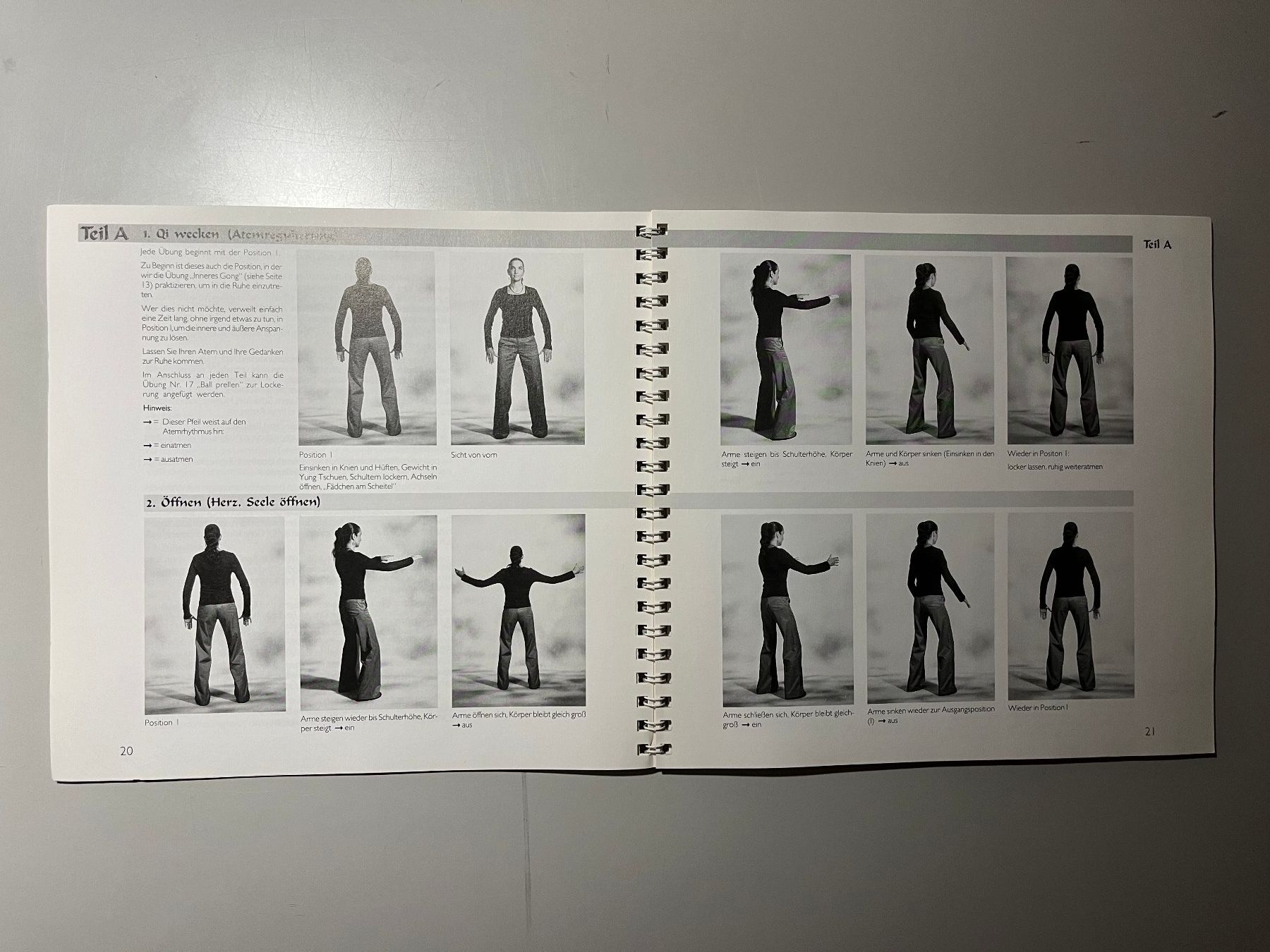 Libri: Marietta Eichler: Tai Chi Qi Gong – Usato da glattfelden venduto da kimiaxel 3