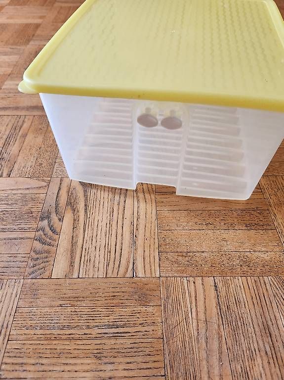 Tupperware Contenitori & Simili: Tupperware Fridge Smart 4L – Nuovo (secondo la descrizione) da Gstaad venduto da Meiel2020 1