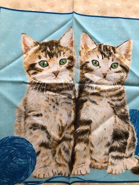 Tessuti: STOFF MIT KATZEN – Nuovo (secondo la descrizione) da Ostermundigen venduto da wini63