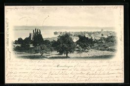 Ermatingen, Ortsansicht mit Umgebung und