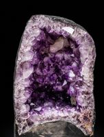 Amethyst   Druse  35cm x 21cm      XL 18.31kg     TOPSTONE