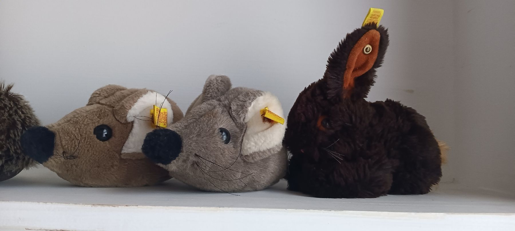 Steiff Giocattoli: STEIFF TIERE  – Usato da Maienfeld venduto da Andyr44 3
