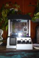 Kleiner witziger Retro  Spielautomat mit Greifarm