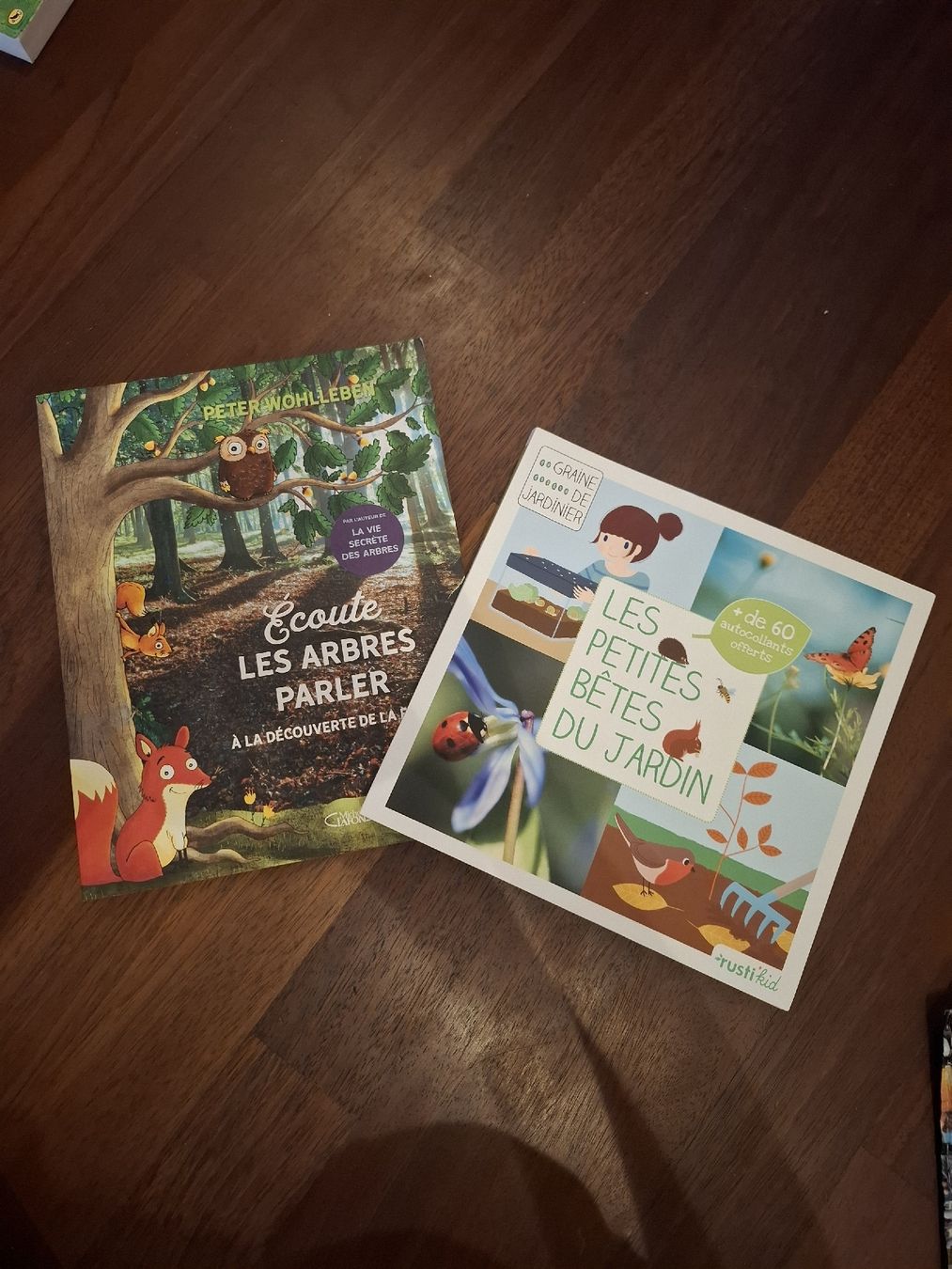 Livres: Lot de 2 Livres – Neuf (Voir description) à Rüschlikon par ama_kb7n