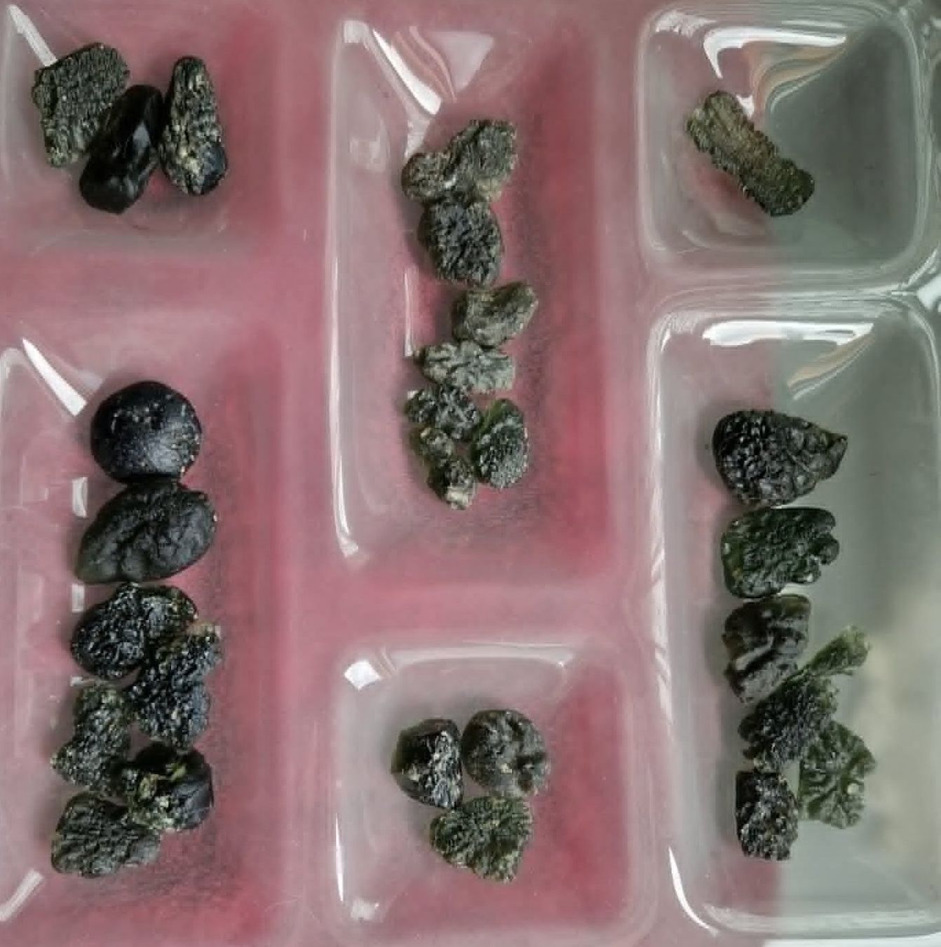Minerali & Pietre curative: MOLDAVITE VERITABLE – Nuovo (secondo la descrizione) da SAXON venduto da Mariposita1428 5