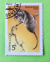 Briefmarken aus Sowjetunion gestempelt Siehe Original Fotos.