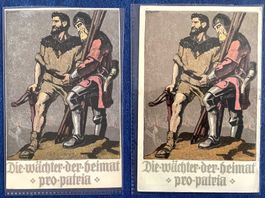 1910 Bundesfeier Postkarten / 1 x ** - 1 x Gelaufen