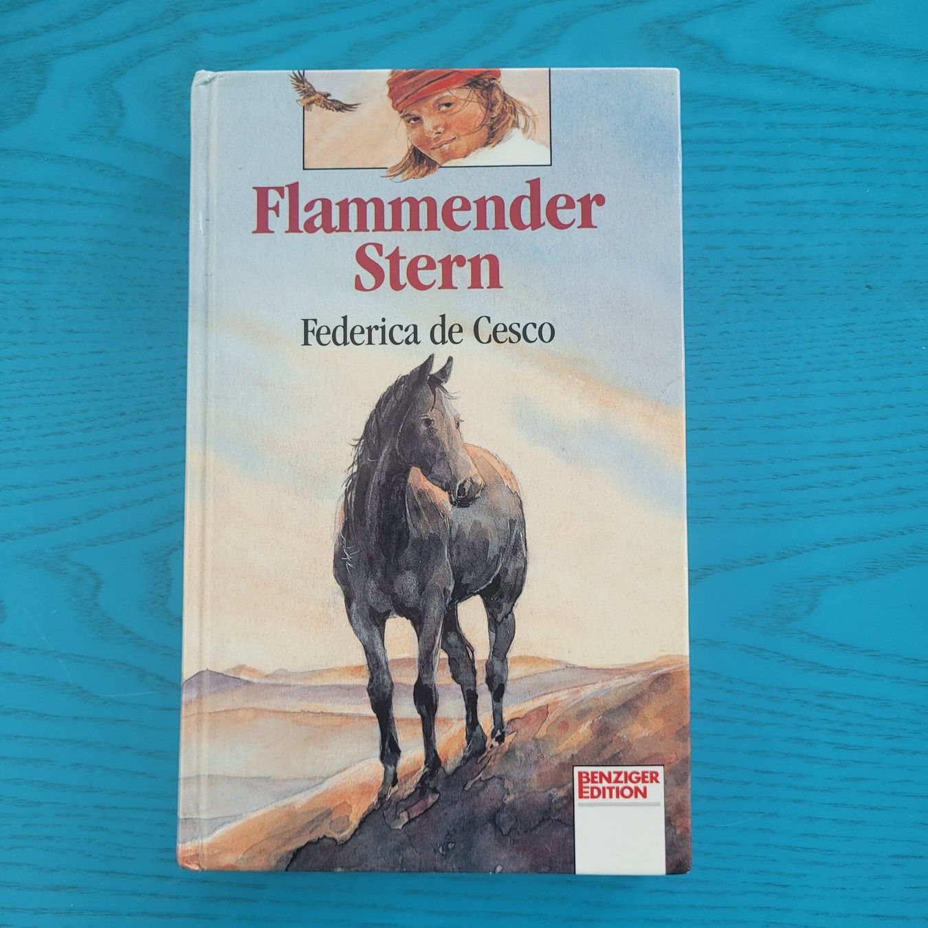 Bücher: Federica de Cesco- Flammender Stern – Gebraucht aus SCHÜBELBACH von CoKaHa