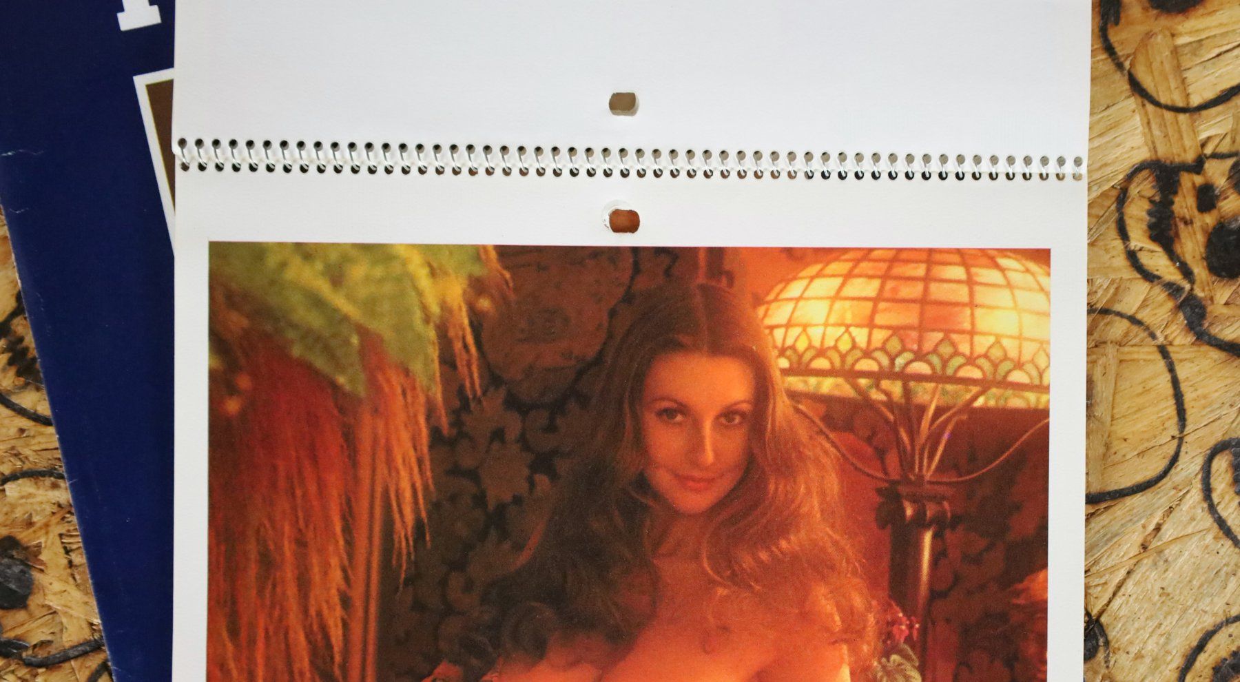 Playboy Calendari: PLAYBOY Kalender 1974 – Usato da Birrwil venduto da brandschatz_birrwil 3