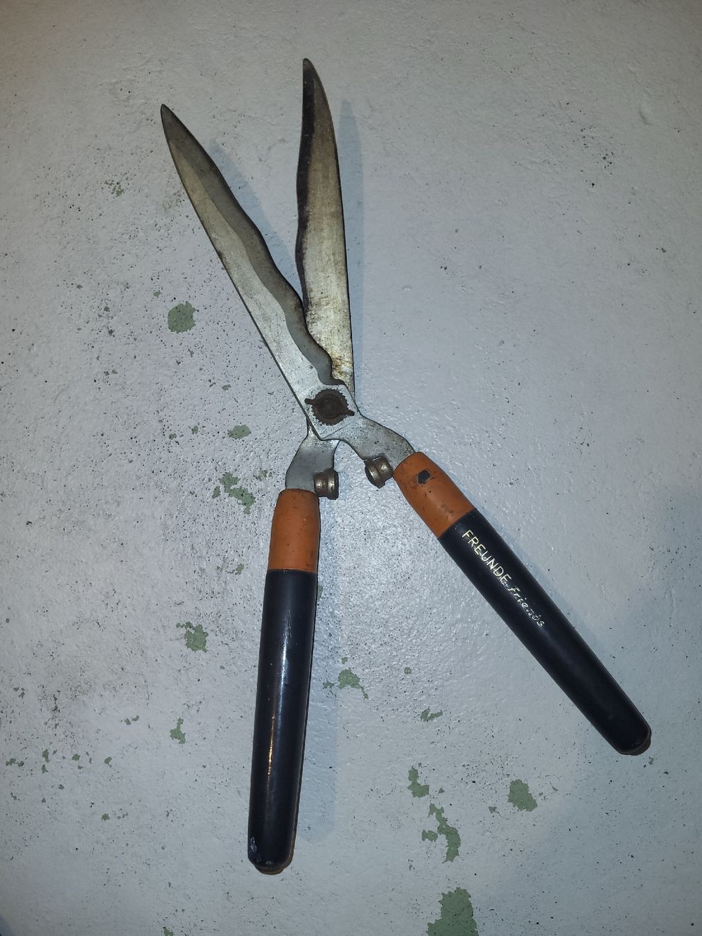 Tous les outils: Gartenschere Friends gebraucht – D'occasion à Buchs AG par sie_f6dg